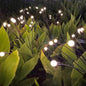 Essential Firefly Lights